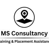 MS Consultancy Training & Placement Assisstance