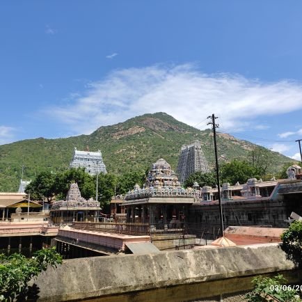 தொண்டை நாடு