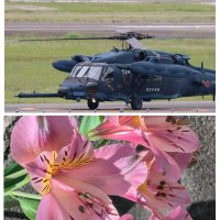 かぐ .｡.:*♡✿ฺ✈