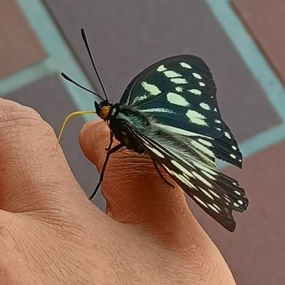 ロムってます。＠16%