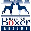 Houston Boxer Rescue
