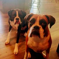 Trina Moquett, MS, CSCS