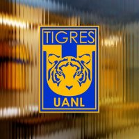 Club Tigres 🐯