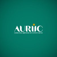Auriic Services