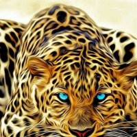 Albert Xander Landia