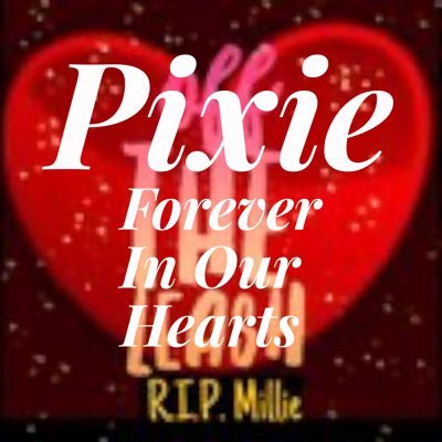OffTheLeashFP 💔RIP Beautiful Millie&Sweet Pixie🌈