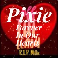 OffTheLeashFP 💔RIP Beautiful Millie&Sweet Pixie🌈