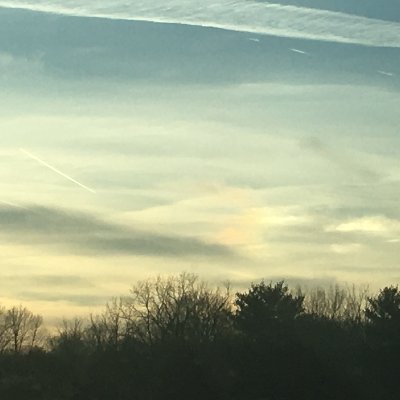 Diona Moselle-not a terrorist helper