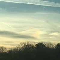 Diona Moselle-not a terrorist helper