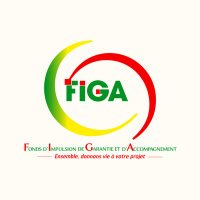 Figa Congo