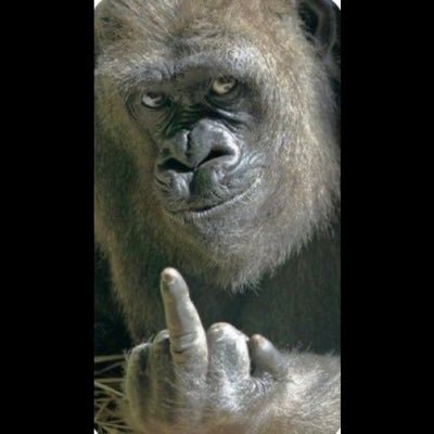 中指(我が子に会いたい連れ去られ別居親)🧡