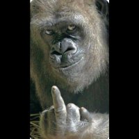 中指(我が子に会いたい連れ去られ別居親)🧡