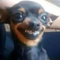 NoRakel🏳️‍🌈 Laurista🎀