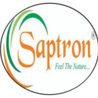 SAPTRON INDIA