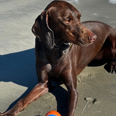 JWC 🚴‍♀️🥘🔭🎣