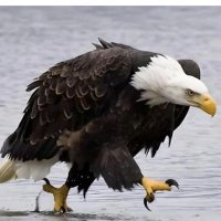 Thapedi Ngwepe 🇿🇦