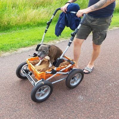 🫟𝘿𝘼𝙈𝙈𝙄𝙀