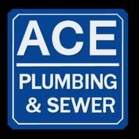 The Ace Plumber