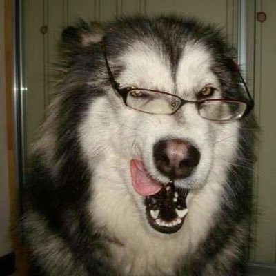 rohan kishibe in the flesh