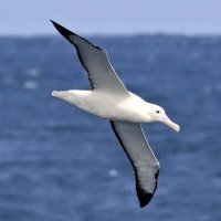 RN オガッチ ～ The Endless River 永遠 (TOWA)🌠