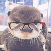 #1 certified ni-ki defender