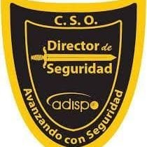 Directores Seguridad
