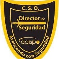 Directores Seguridad
