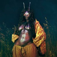 ₊‧°𐐪𐑂°‧₊