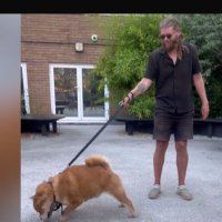 Lord Samuel J Jack ⚒️