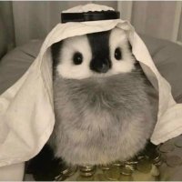 大阪山下智障.btc