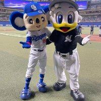 かもコアラ🦢🐨