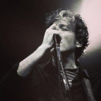 Adrie van Gulik 🎸