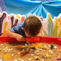 Clever Rabbit //🐰