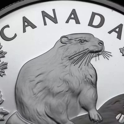 jw collectibles 🇨🇦