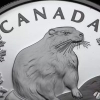 jw collectibles 🇨🇦