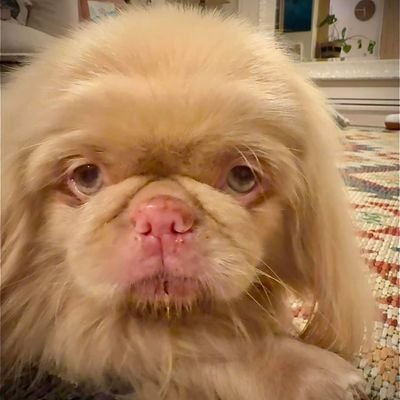 Ester10🇵🇱🇪🇺