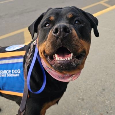 Team Servicerottie🇨🇦🐕‍🦺🦽