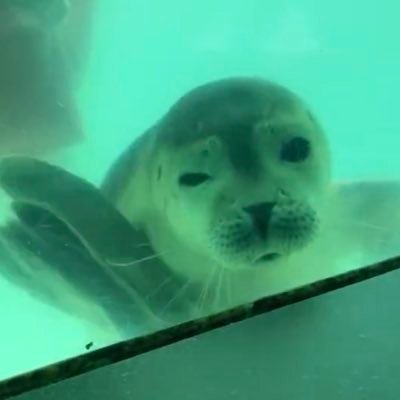 くー🖇@SMAPと共にエンタメ垢