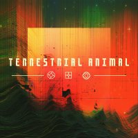 Terrestrial Animal