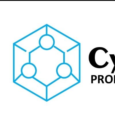 Cybernalytix Professionals Company Limited