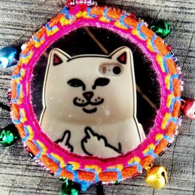 akn✈️猫と音楽と旅の人