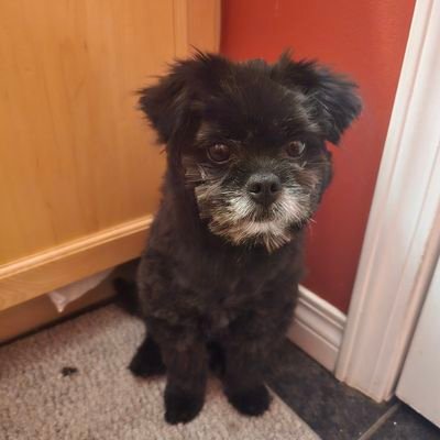 SomeCriticalThinking