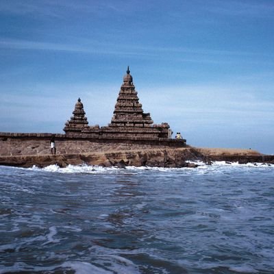 அரசியல் களம்