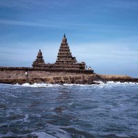 அரசியல் களம்