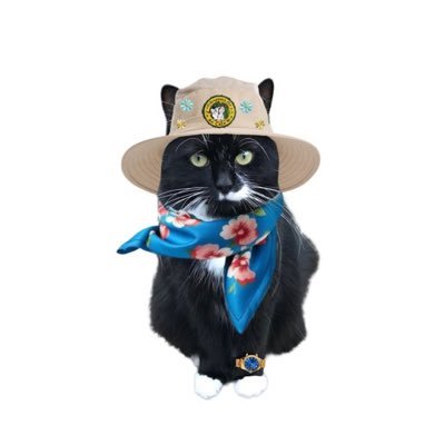 Jenson and Arwen 🌈RIP