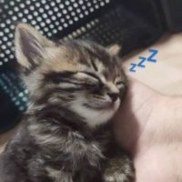 ₍⸍⸌̣ʷ̣̫⸍̣⸌₎