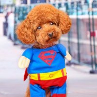 Exaltz #ENROUTE #ENROUTE #ENROUTE #ENROUTE