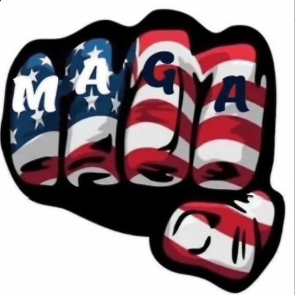 DJT 🇺🇲 PKN 🇵🇱