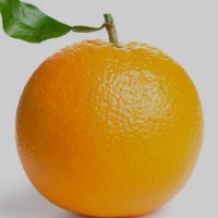 Les oranges de Fouka 🍊🍊🍊🍊🍊🍊🍊🍊🍊🍊🍊🍊🍊🍊