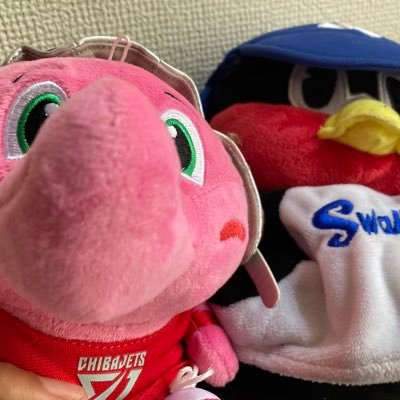 づめさん🏀⚾️